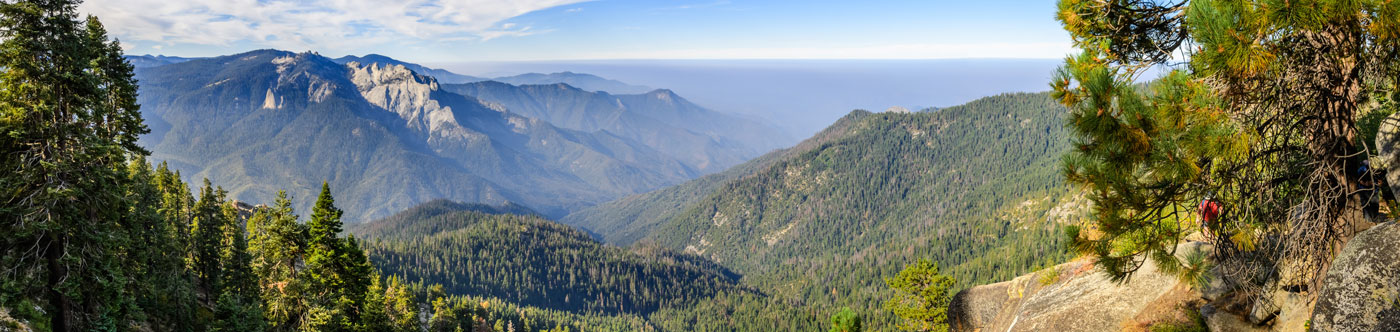 overlook of forested mountains